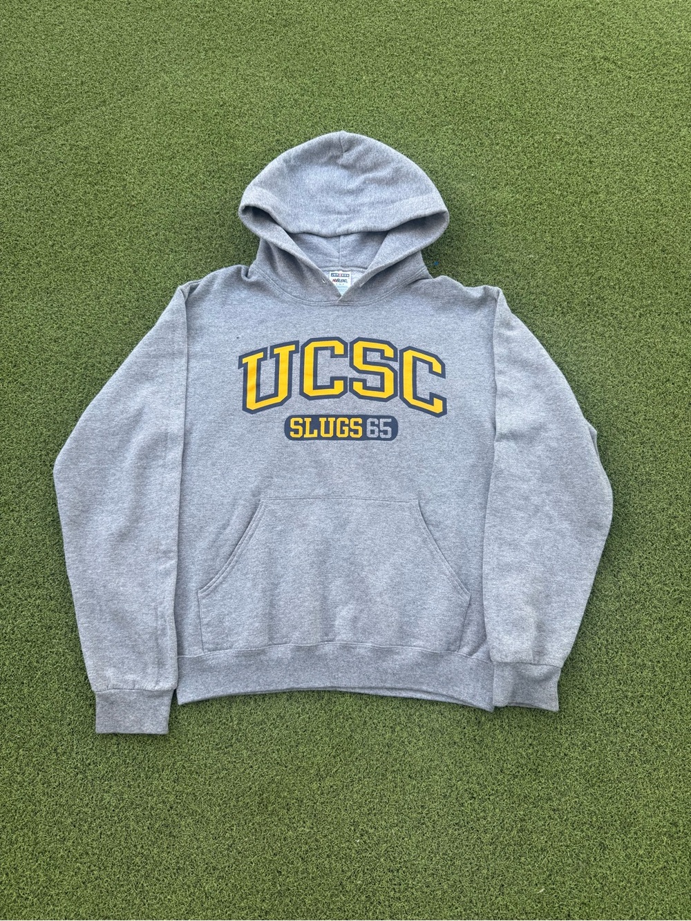 MODERN SKATER STREETWEAR UCSC SLUGS PRINT NON STITCHED COLLEGIATE SPORTY HOODIE